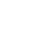 Exem logo icon white